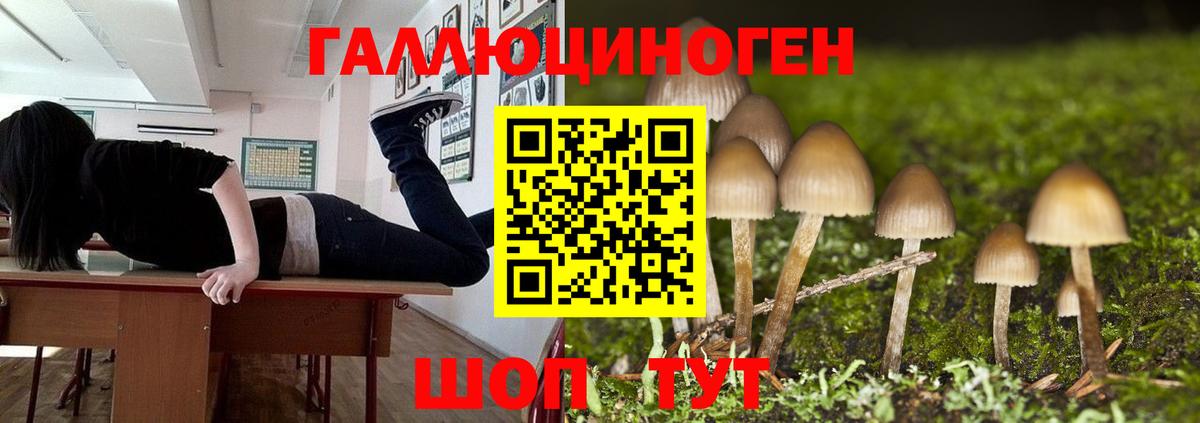 Псилоцибиновые грибы прущие грибы  Вход с VPN  Джанкой 