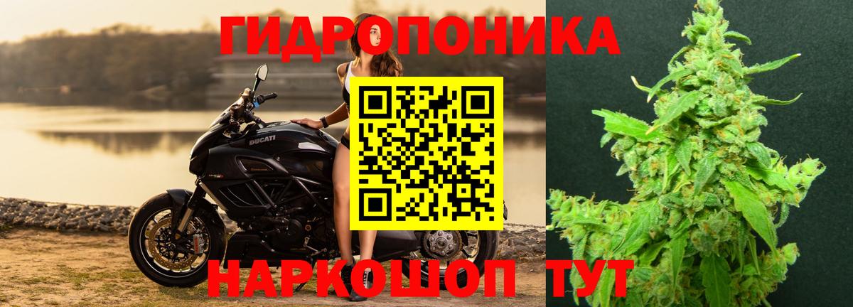 МАРИХУАНА план Джанкой